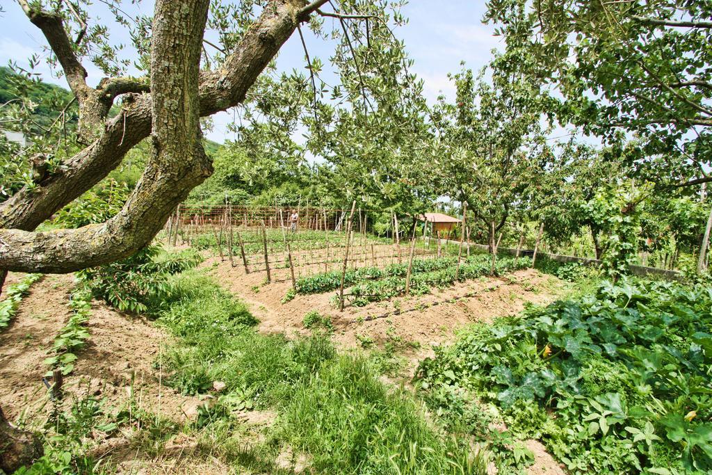 Agriturismo La Chiana Vico Equense Exterior photo