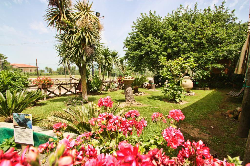 Agriturismo La Chiana Vico Equense Exterior photo